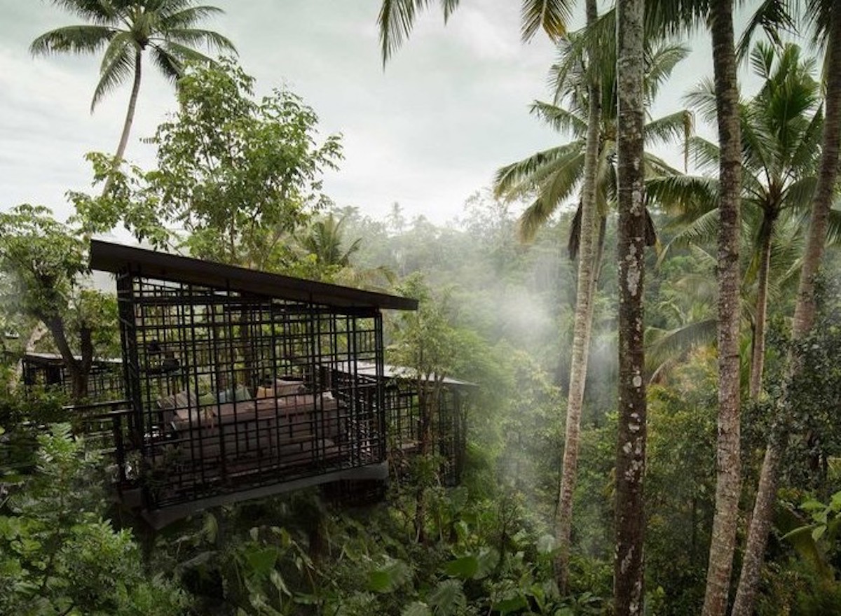 在峇里島的頂級樹屋享受寧靜叢林日光